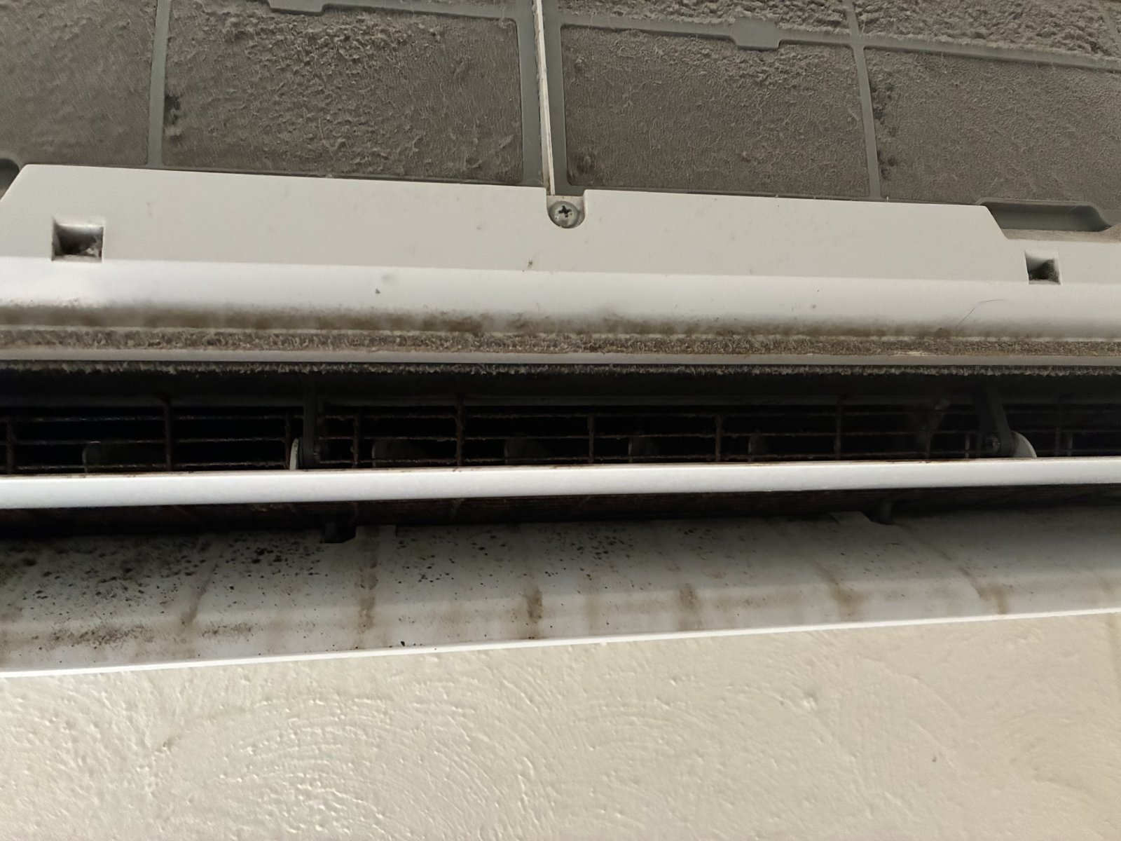 Split system barrel fan coated in black mould after months of dry mode use in FNQ humidity